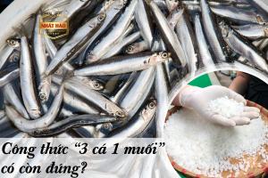 CÔNG THỨC XƯA “3 CÁ 1 MUỐI” CÓ CÒN ĐÚNG KHÔNG?